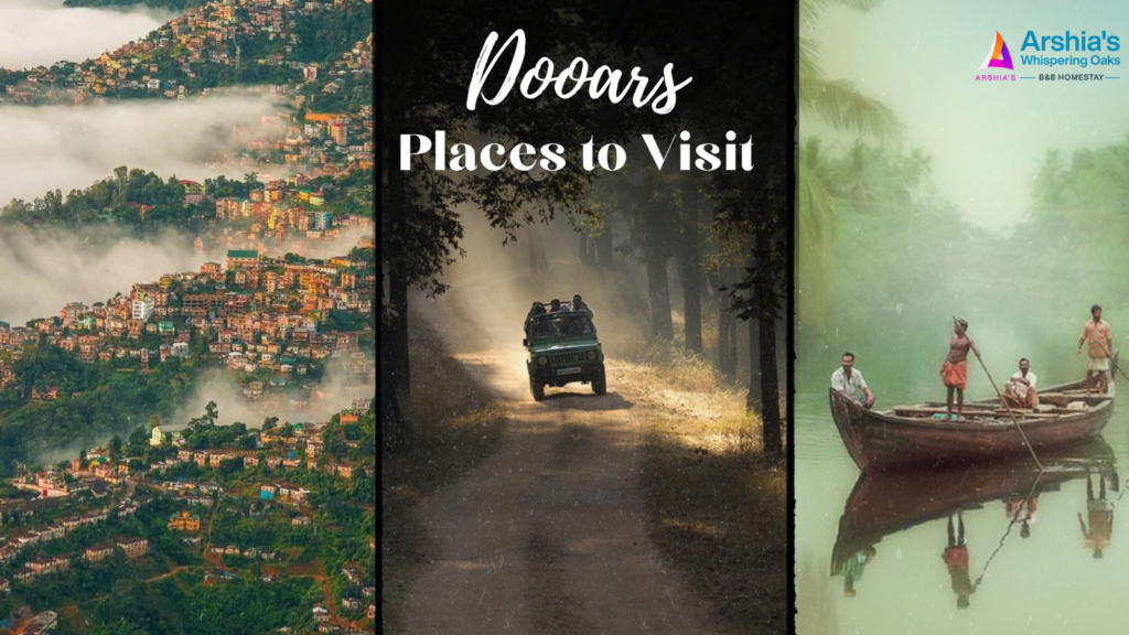 Discover the Wilderness of Dooars: 10 Must-Visit Places with Arshia Homestay